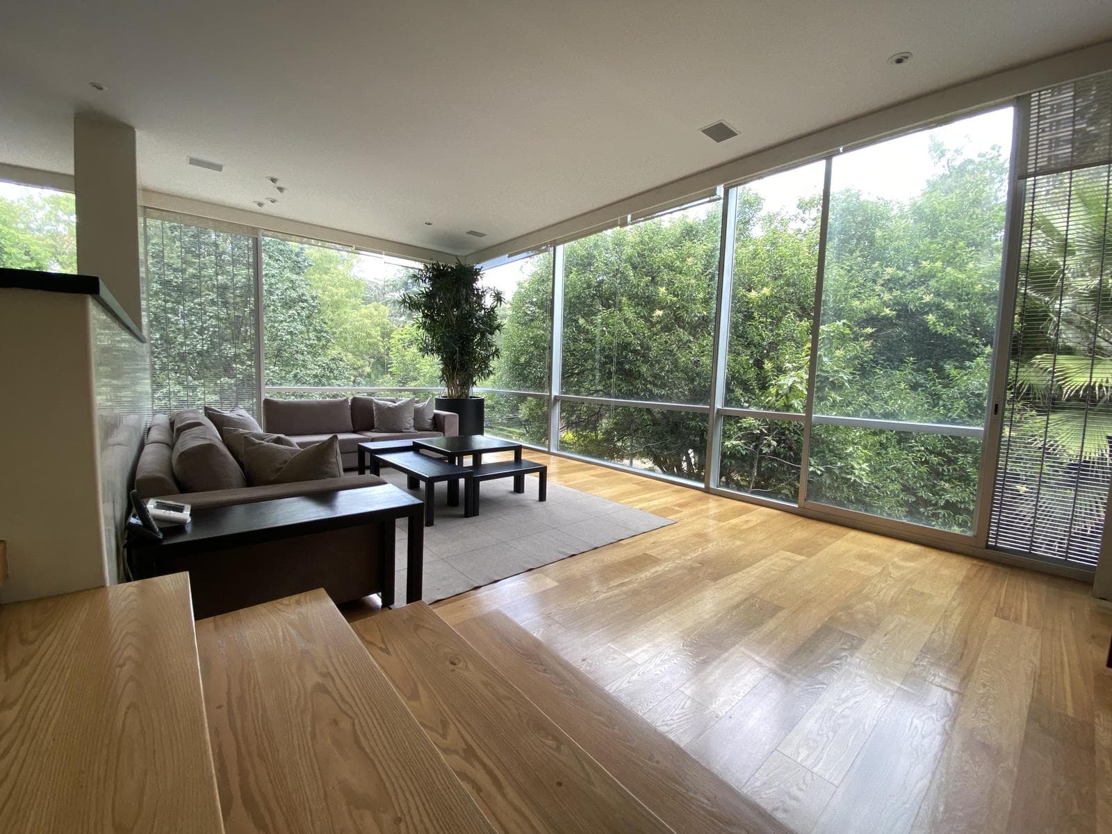 Apartment for sale and rent in Polanco, across from Lincoln Park