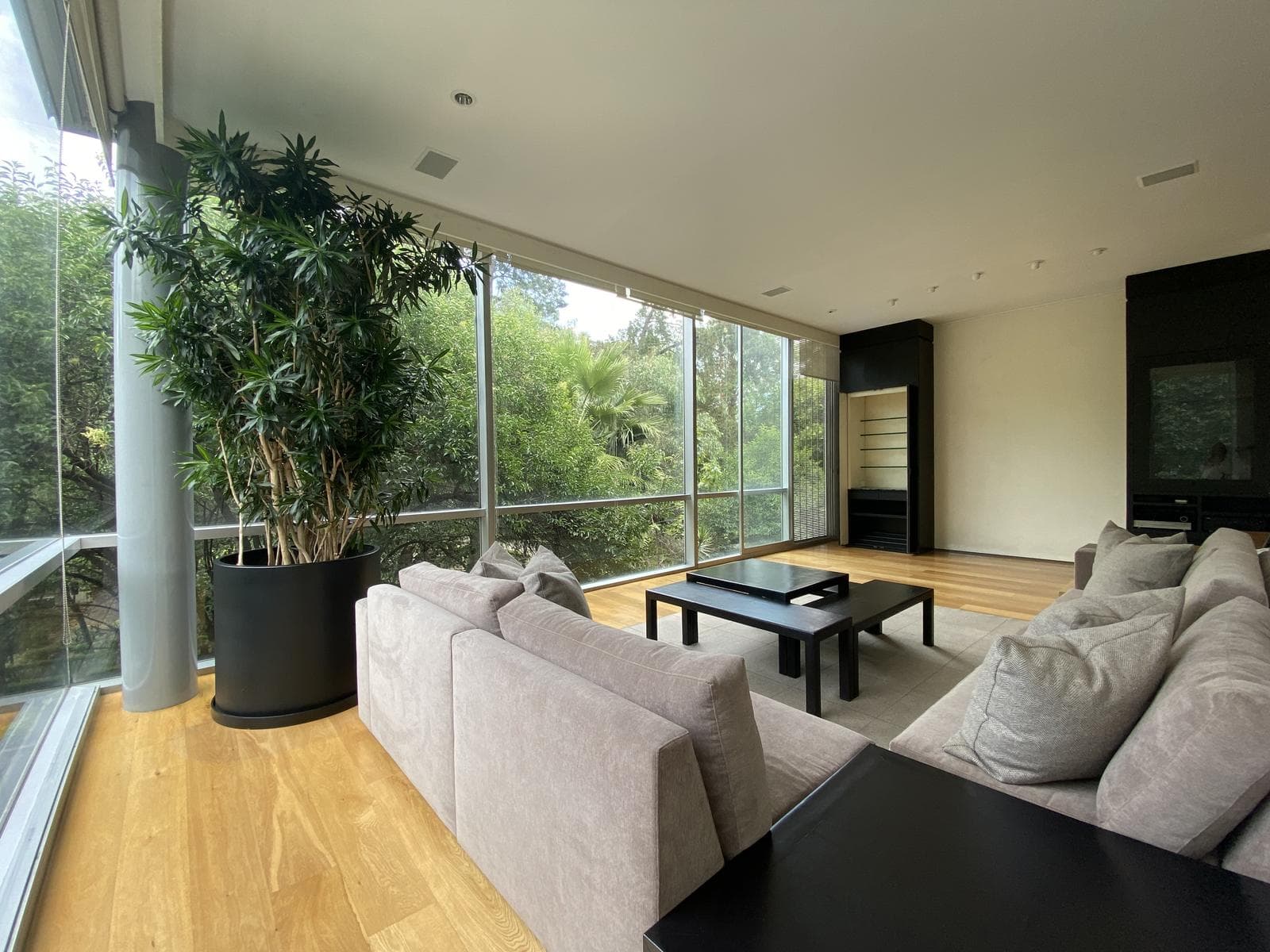 Apartment for sale and rent in Polanco, across from Lincoln Park