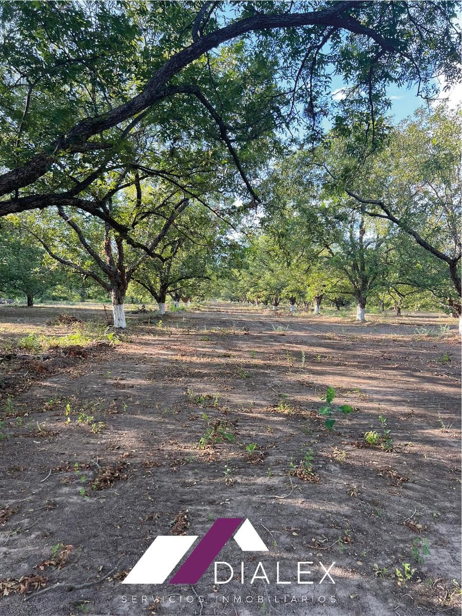 Rural Land for SALE - Montemorelos, Ojo de Agua, starting at 1,500 m², Nuevo León.