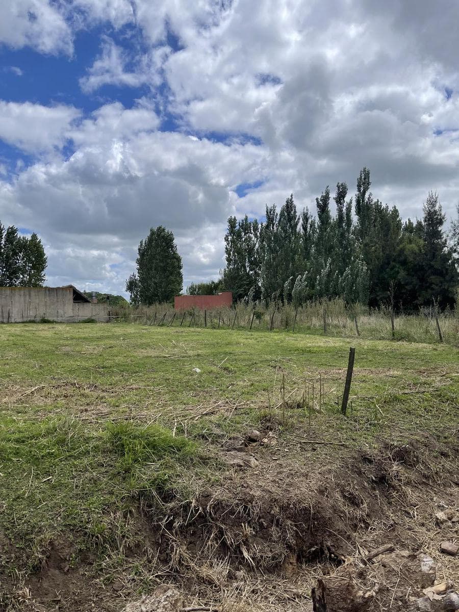 Land for Sale - Salvador Maria, Lobos