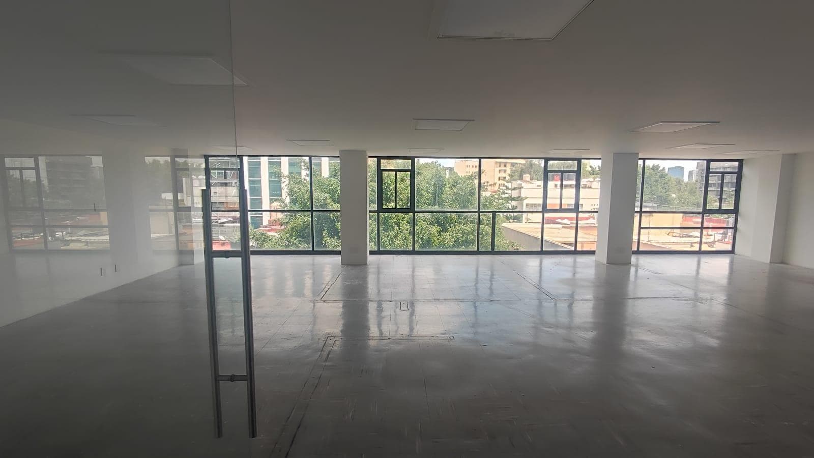 Office for Rent in Anzures, Homero