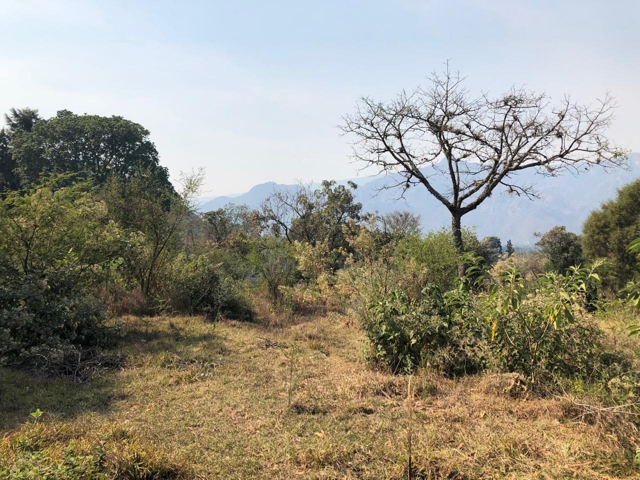 Land in Tepoztlan, Morelos