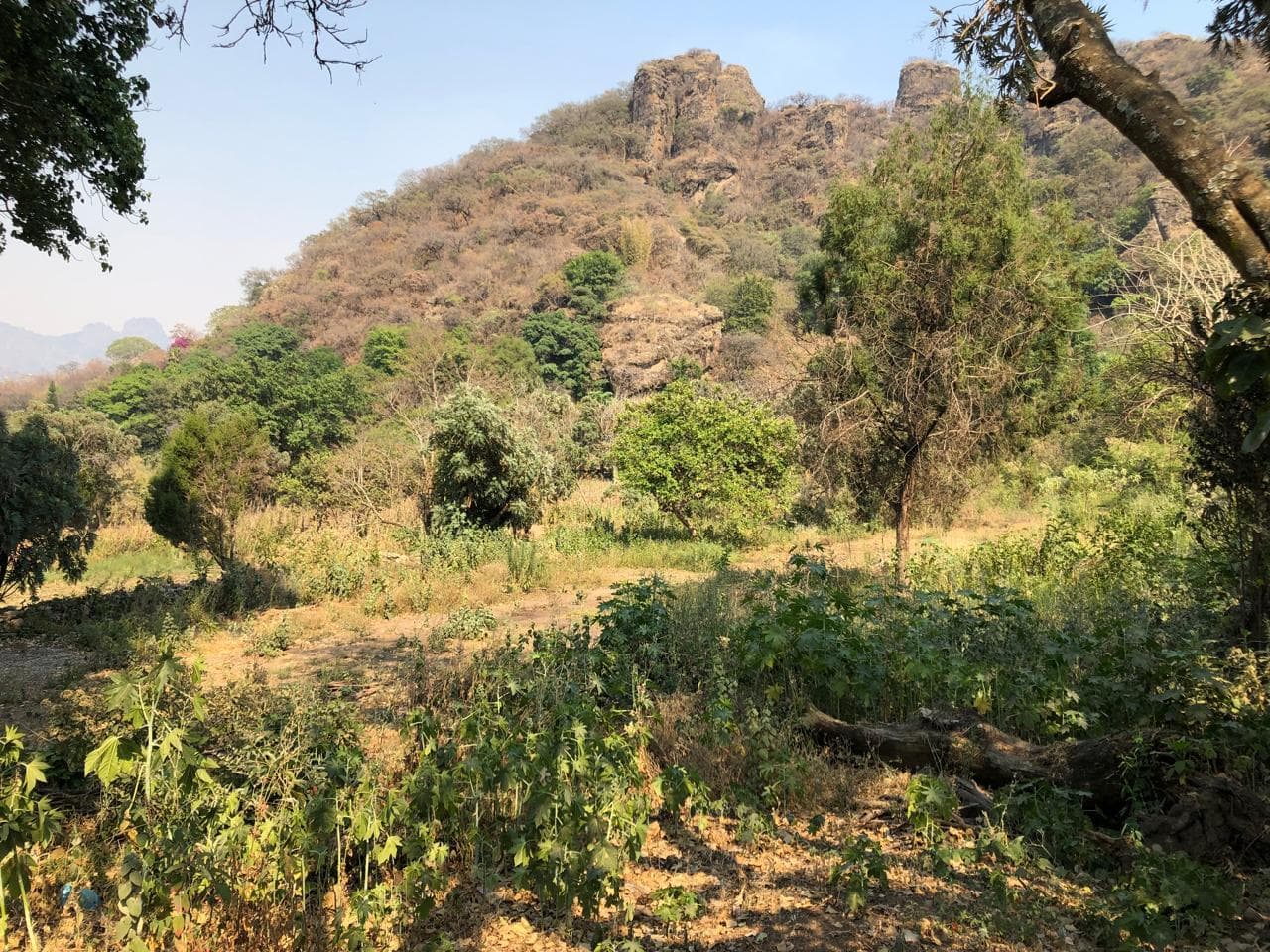 Land in Tepoztlan, Morelos