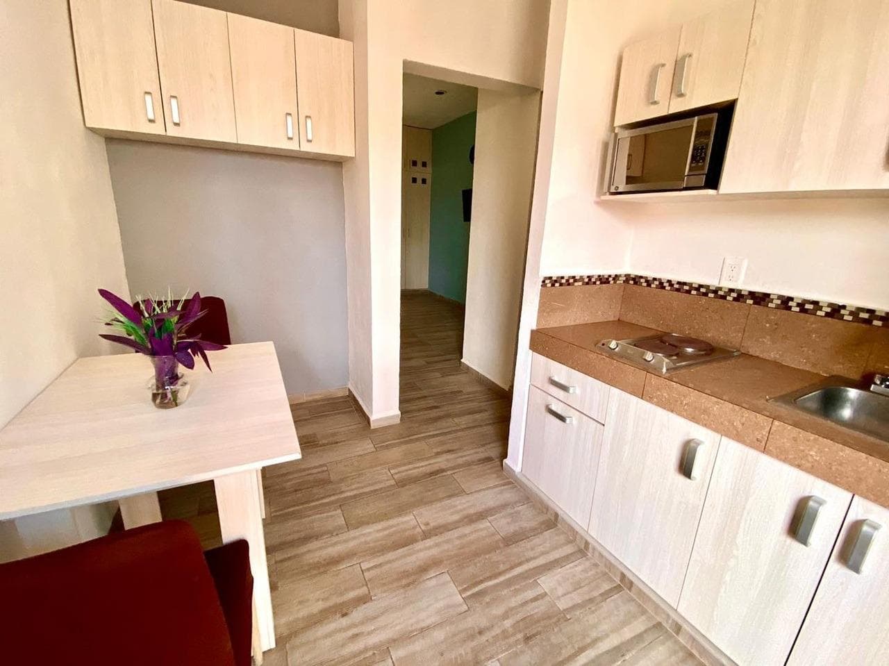 Furnished 1-Bedroom Apartment for Rent | Colonia Colosio, Playa del Carmen
