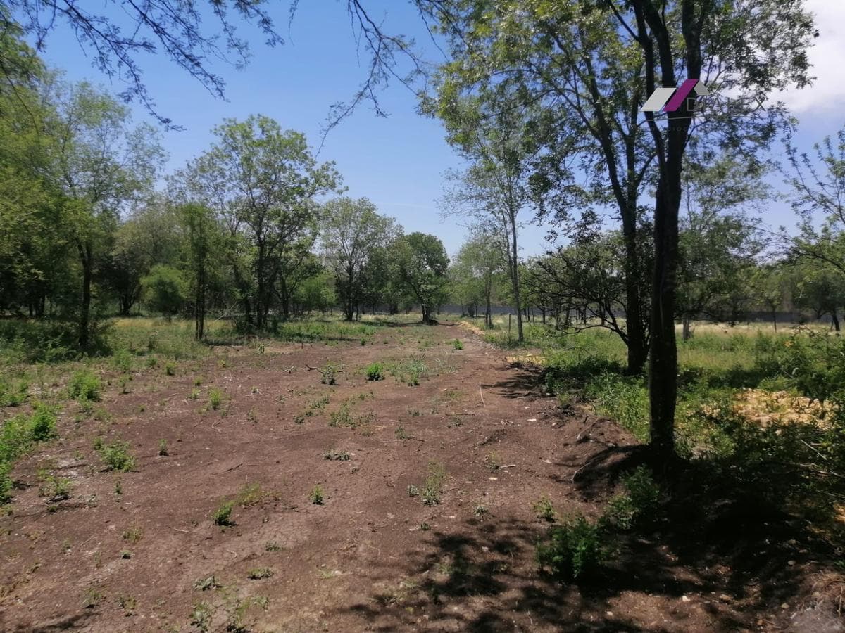 Residential Lots for Sale - NATIONAL HIGHWAY - Montemorelos, 1,500 m²