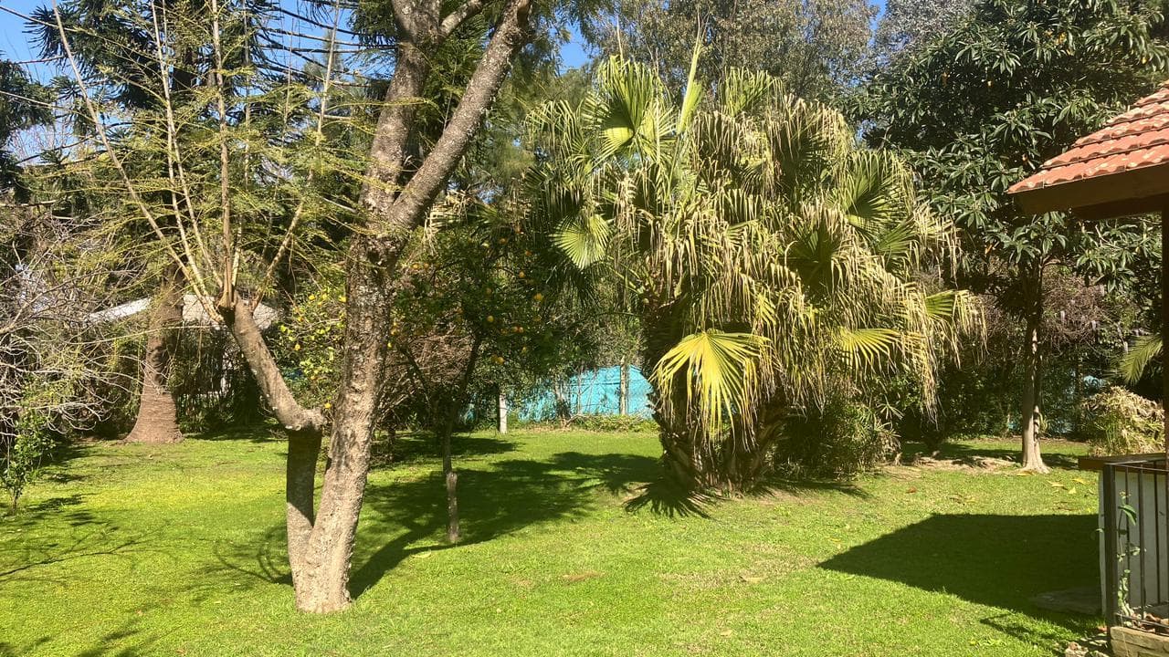 5-room house with a large garden for sale in El Cazador
