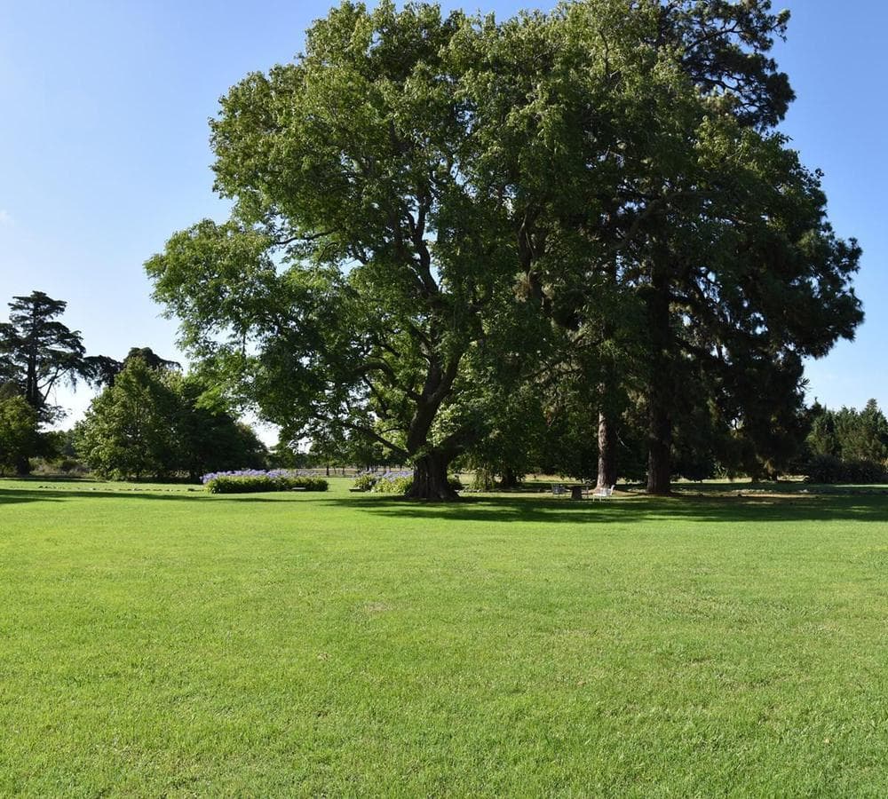 Country House for Temporary Rent, 30 Minutes from Mar del Plata