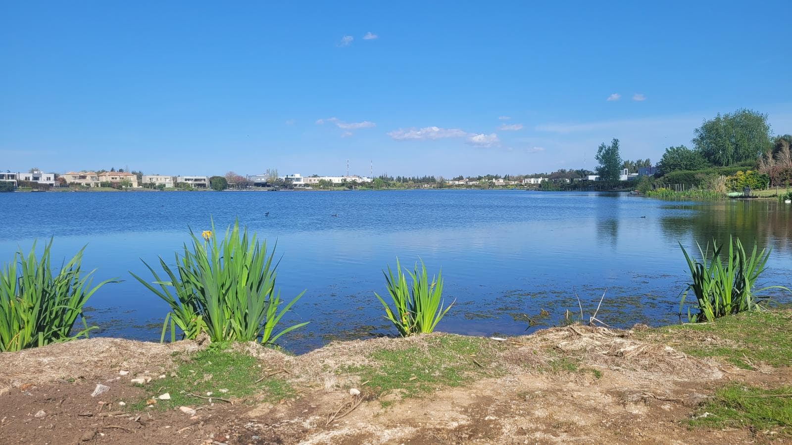 Lot near the lagoon, Santa Teresa neighborhood, Villanueva