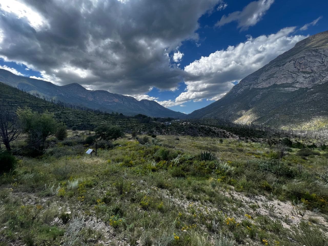 Land for Sale in La Jacinta, Santiago, Nuevo León