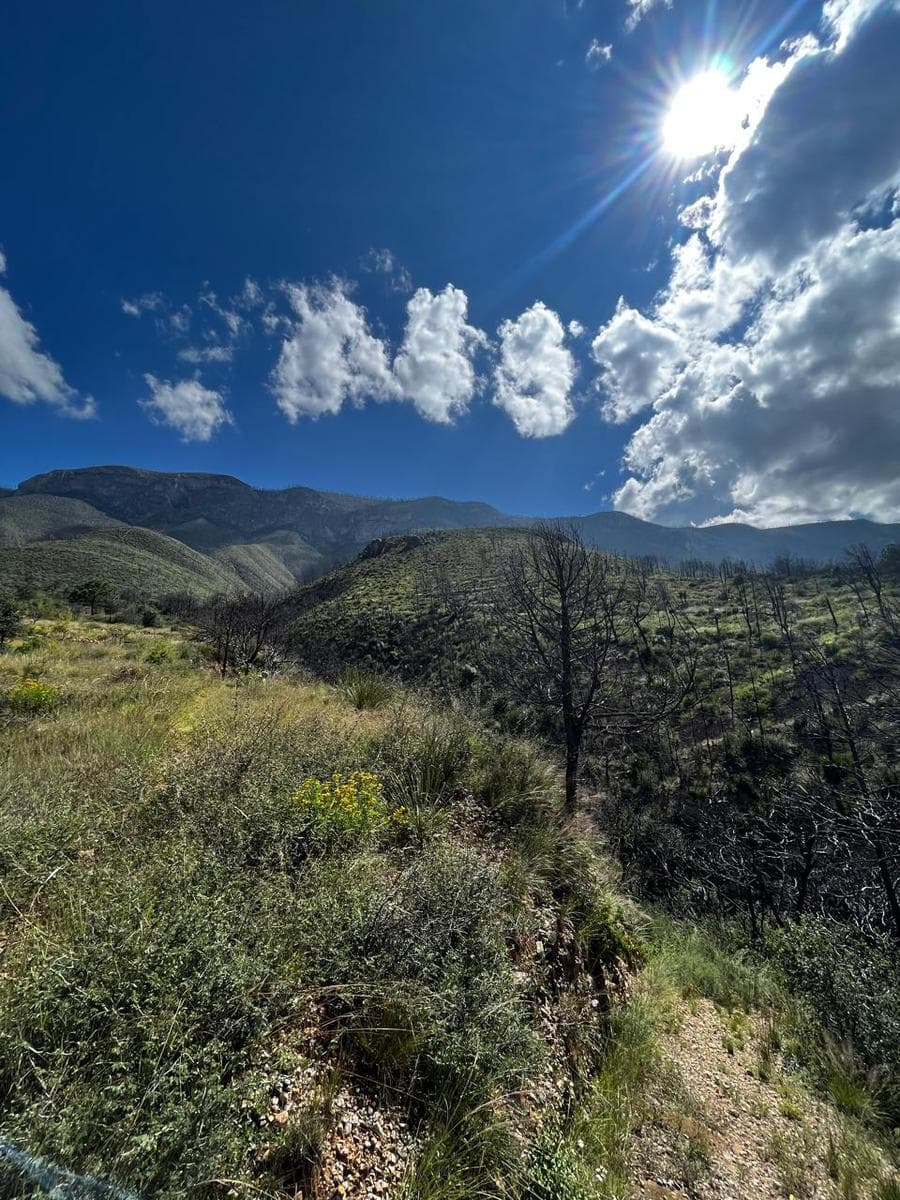 Land for Sale in La Jacinta, Santiago, Nuevo León