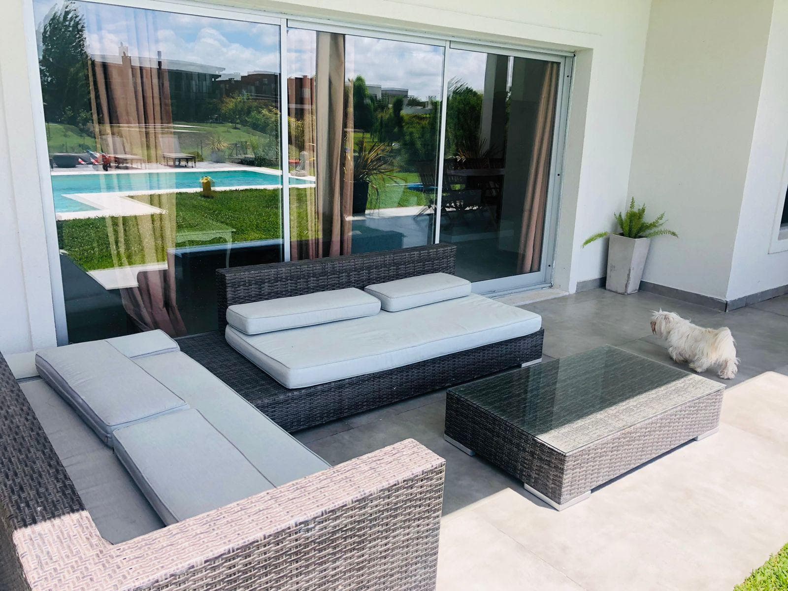 Homes for Sale and Rent