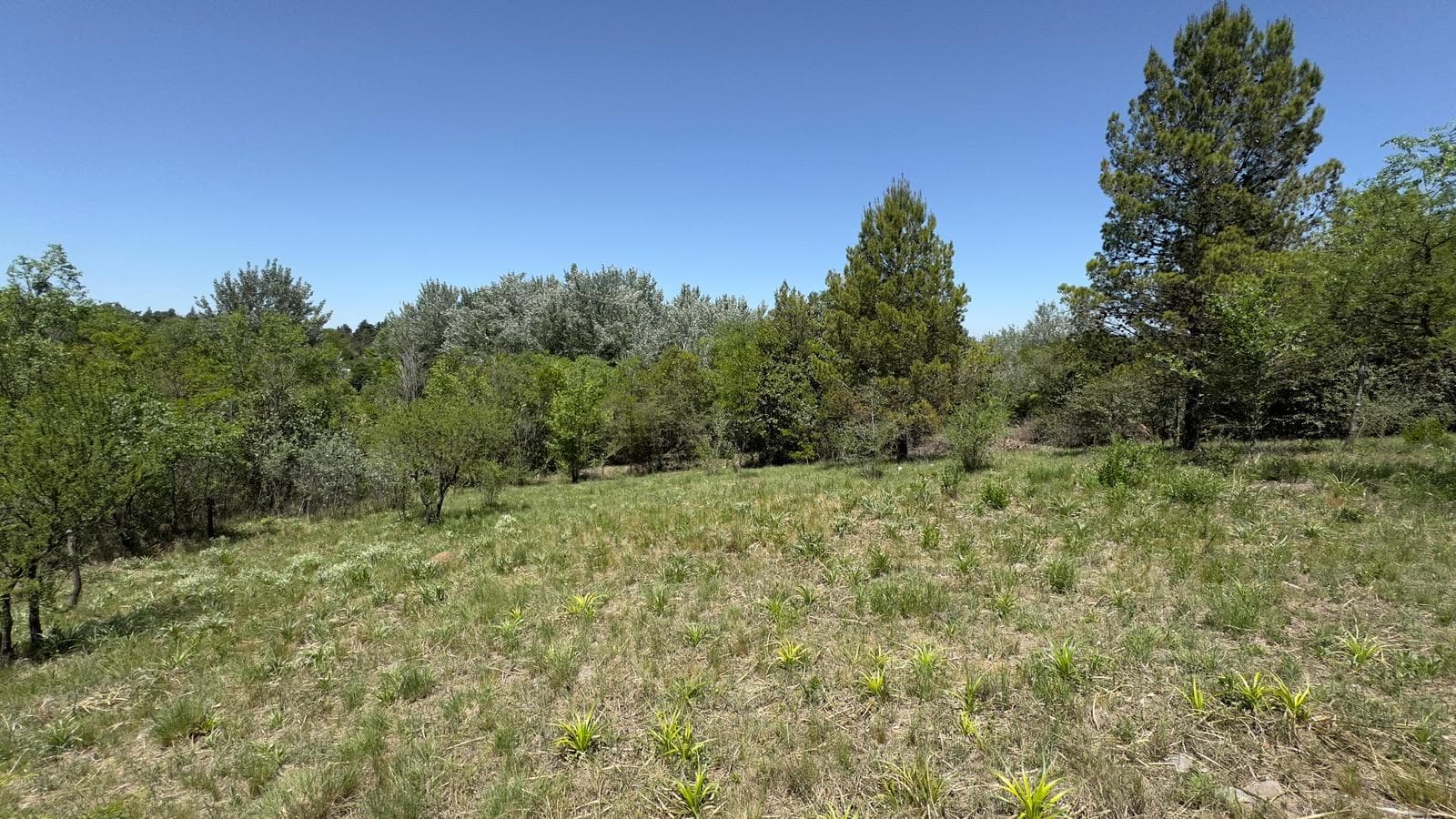 Land in Villa Giardino