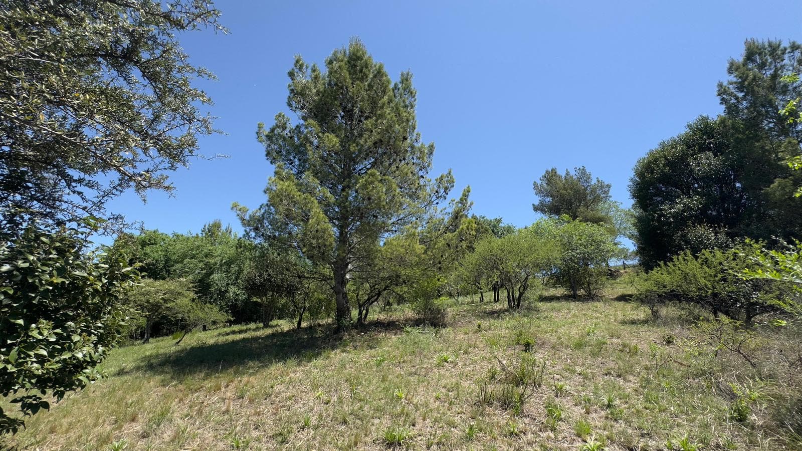 Land in Villa Giardino