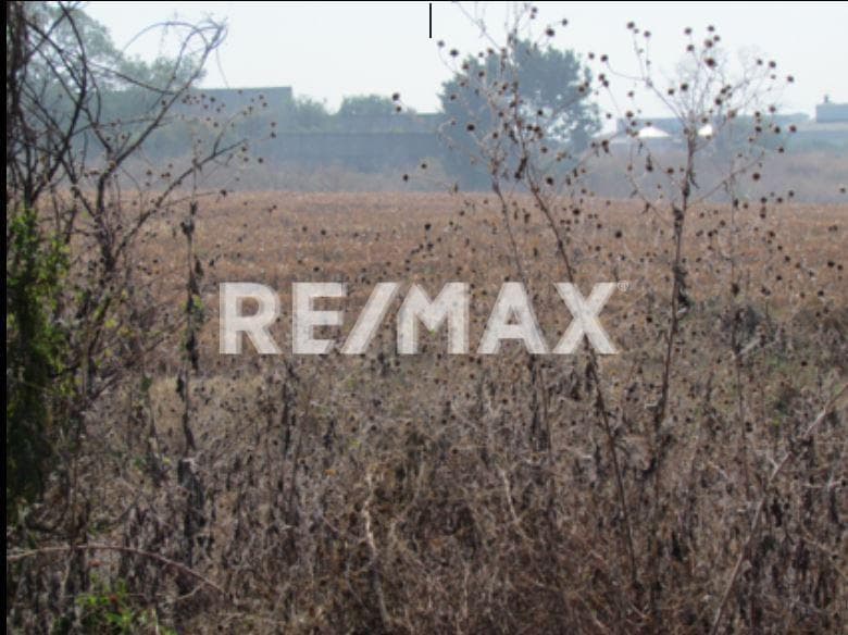 Land for Sale in Morelos, Ayala