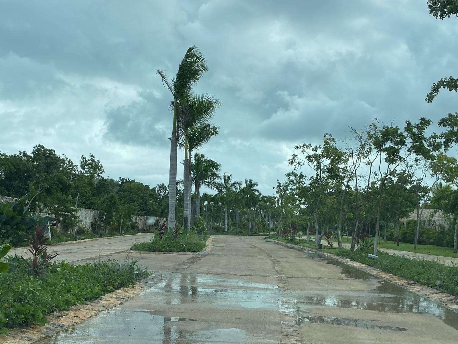 Lots for Sale in Los Santos, Cancún, on Huayacán Avenue