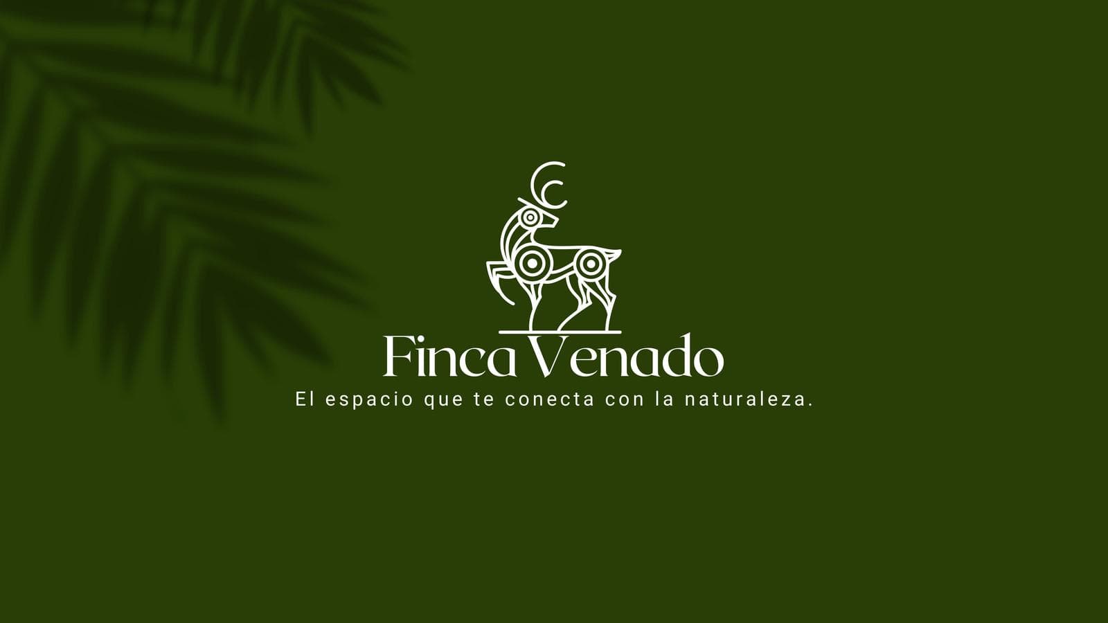 Land for Sale in BACA YUCATAN