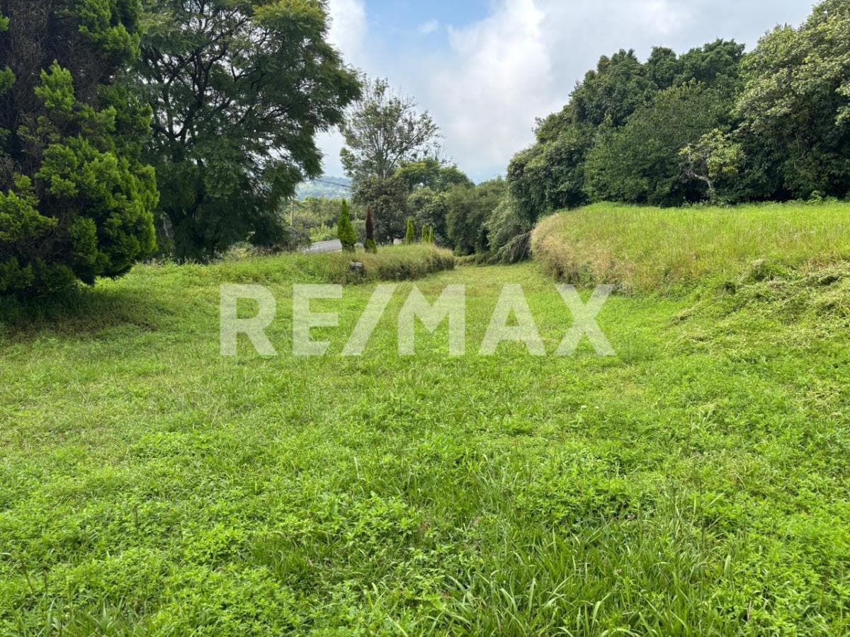 Land for Sale in Morelos, Nepantla—Title Deed Available