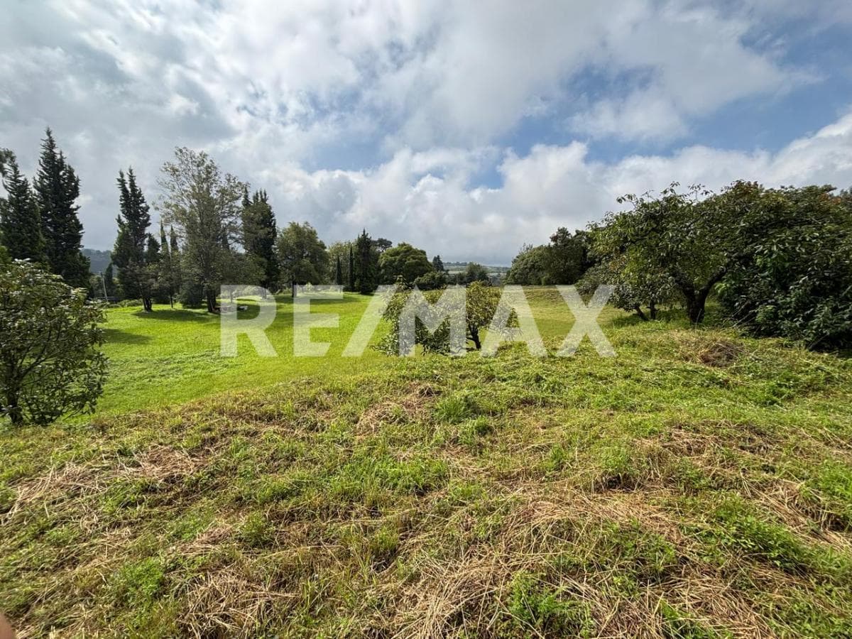 Land for Sale in Morelos, Nepantla—Title Deed Available