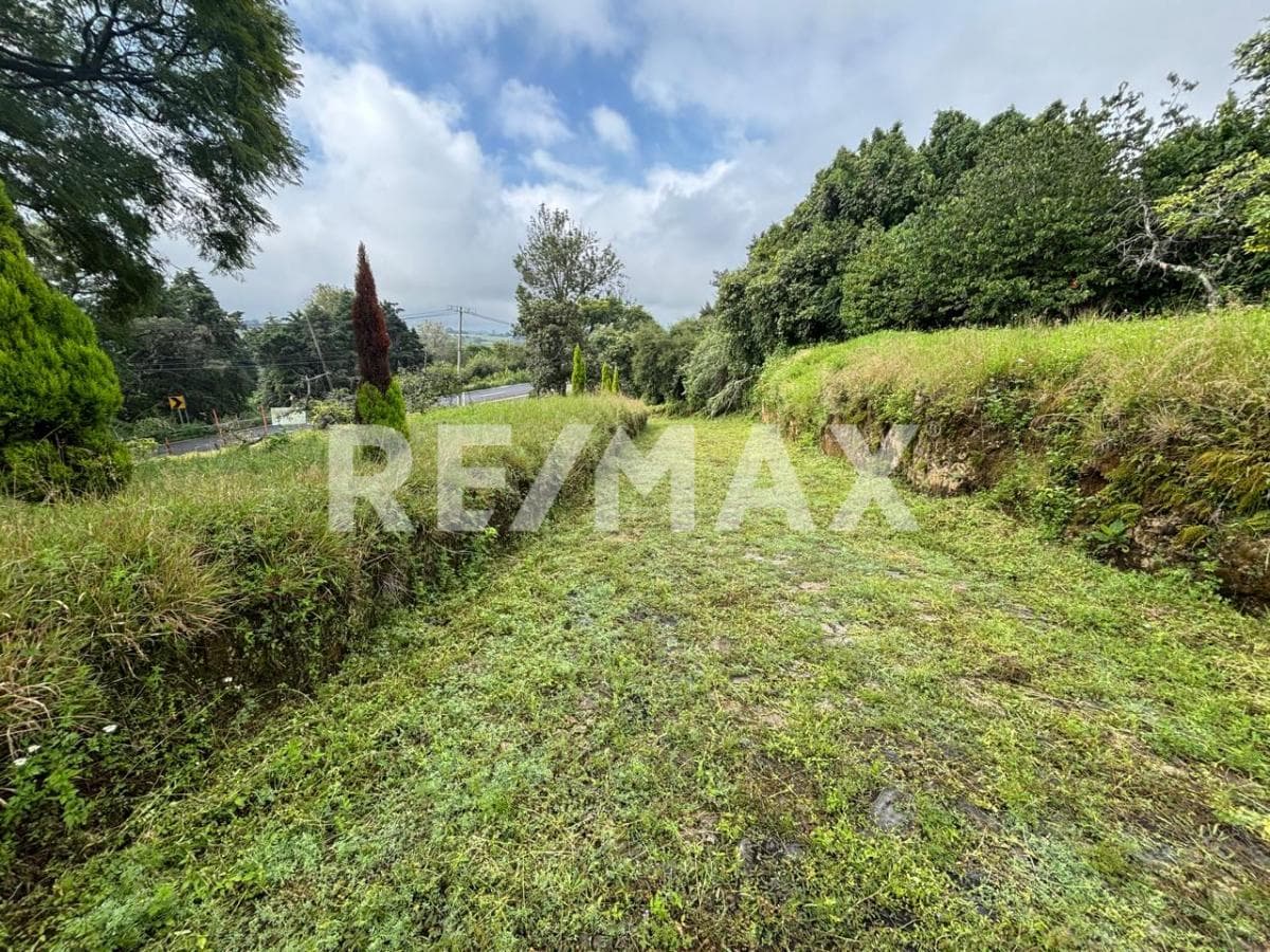 Land for Sale in Morelos, Nepantla—Title Deed Available