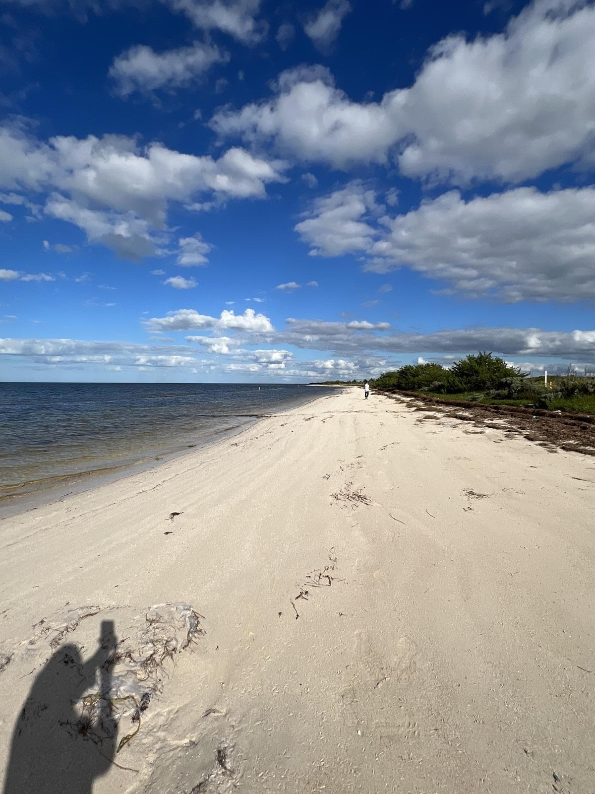 Oceanfront Lot in Santa Clara | 12-Month Payment Plan |