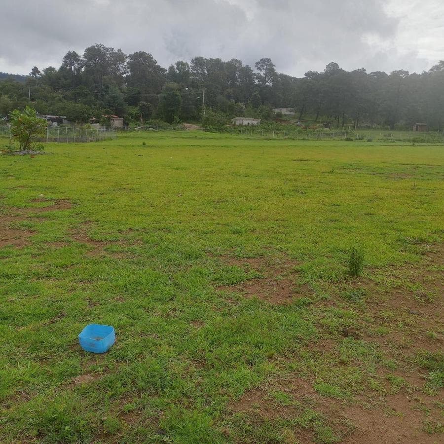 LAND FOR SALE IN VALLE DE BRAVO WITH ZONING CLASSIFICATION H.333.A