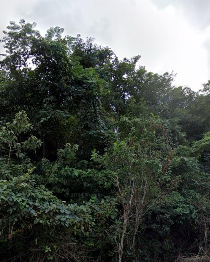 LAND FOR SALE IN LÁZARO CÁRDENAS, QUINTANA ROO, ON THE SIDE OF THE HIGHWAY