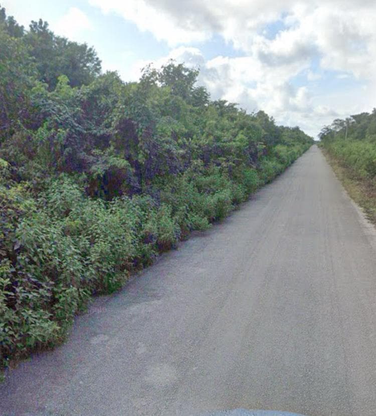 LAND FOR SALE IN LÁZARO CÁRDENAS, QUINTANA ROO, ON THE SIDE OF THE HIGHWAY