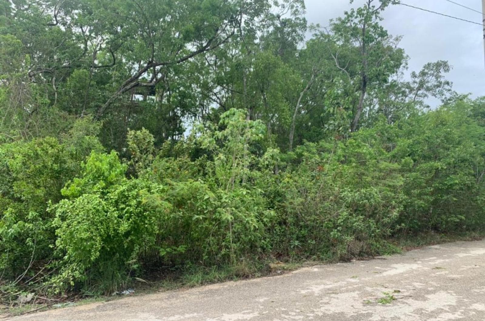 Land for Sale in La Veleta, Tulum - Corner lot, ideal for investment