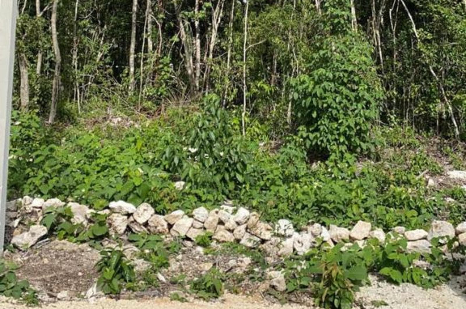 Land for Sale in La Veleta, Tulum - Corner lot, ideal for investment