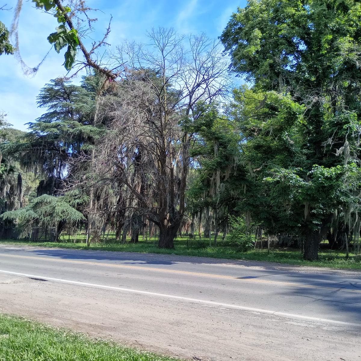 Lot on Route 9