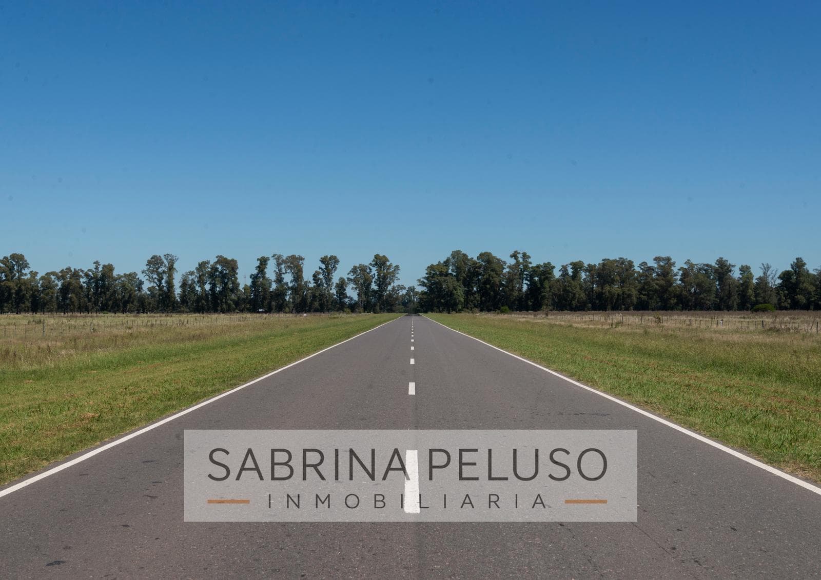 Land for Sale in Plomer