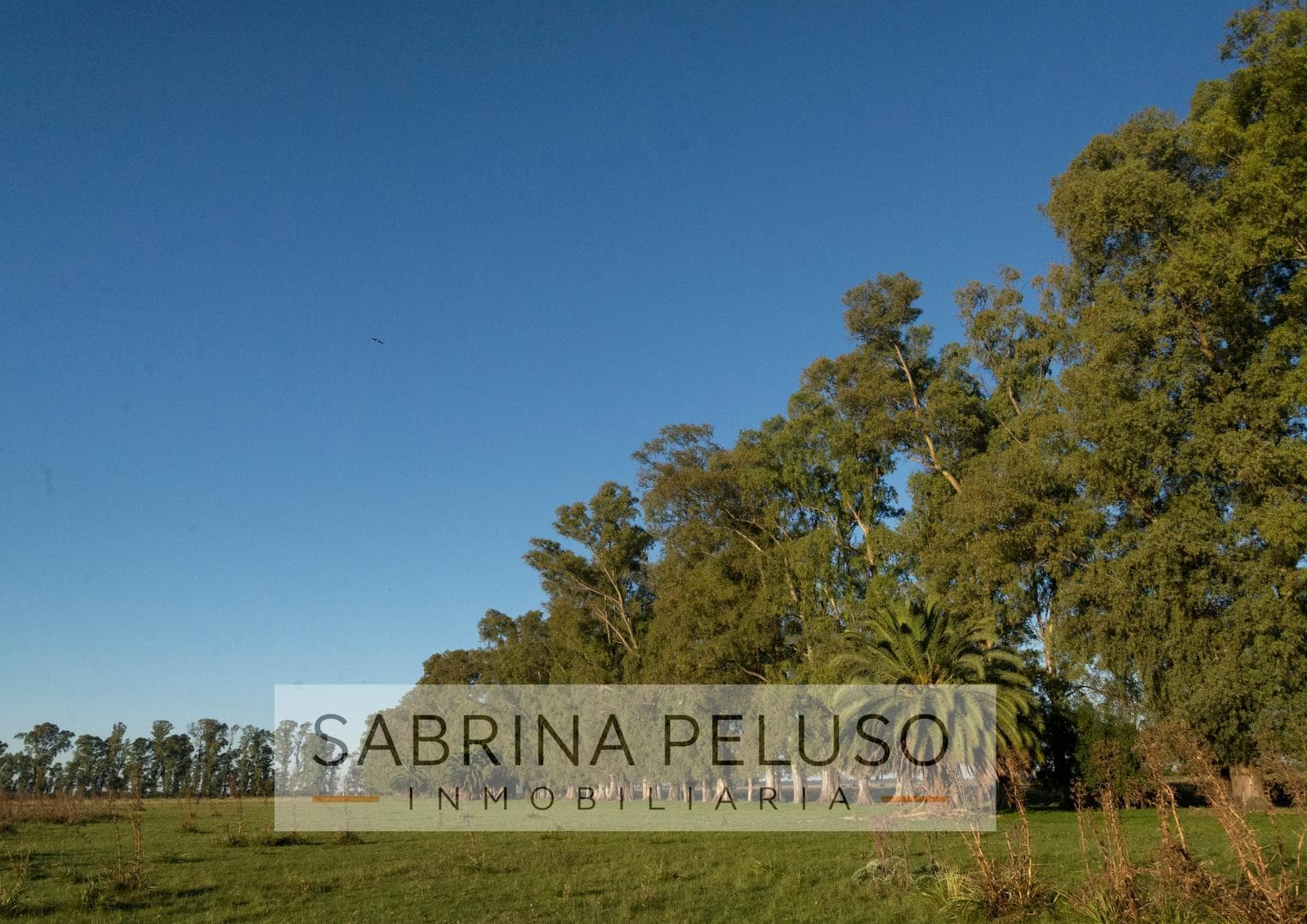 Land for Sale in Plomer