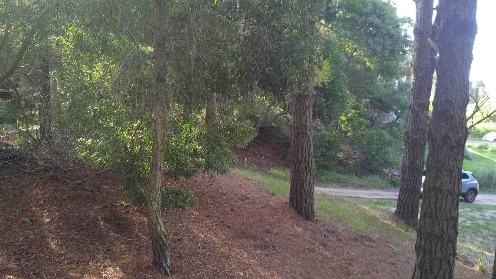 675-meter lot with good elevation and tree cover