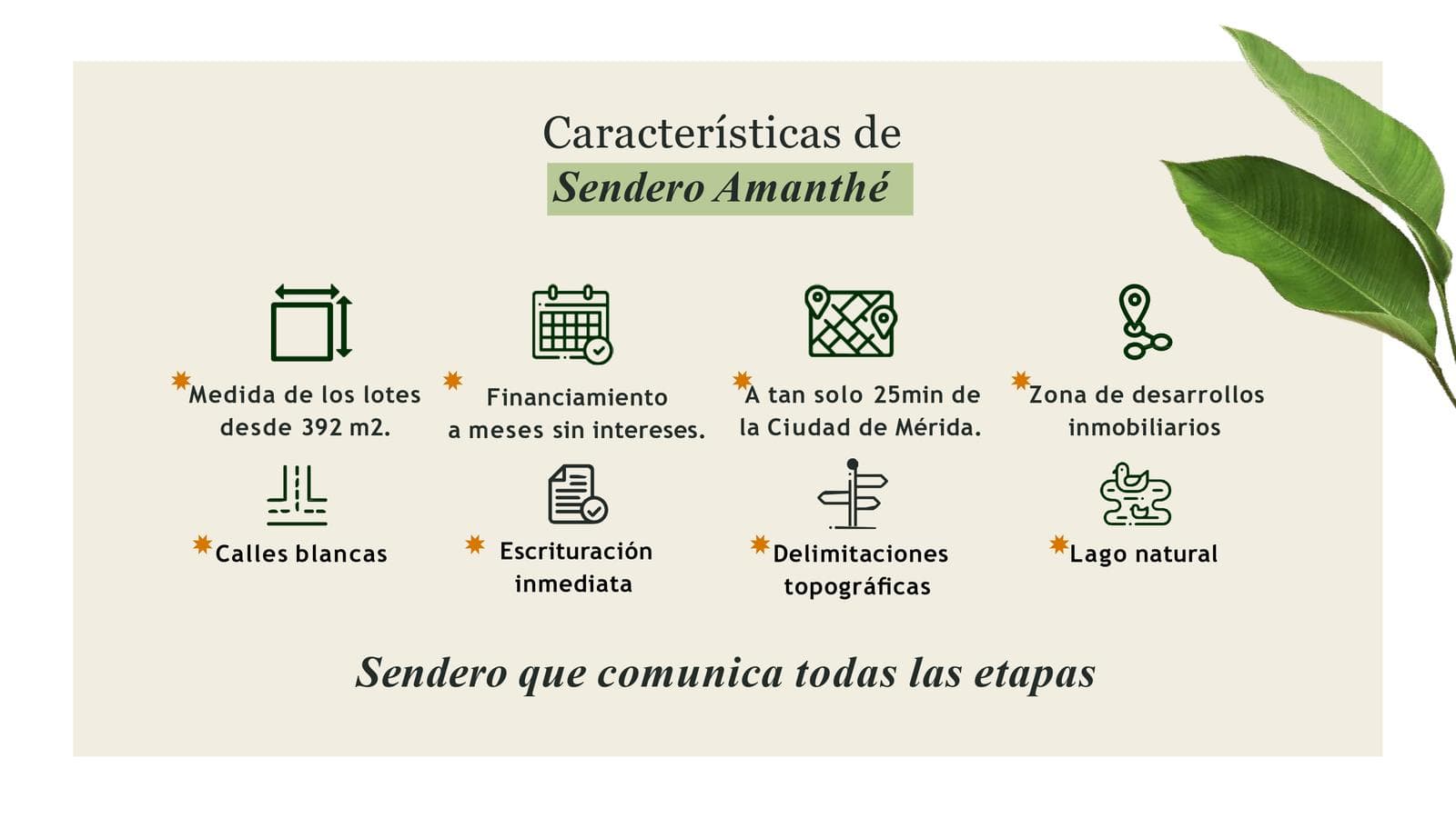 Land for Sale in Hunucma, Yucatán