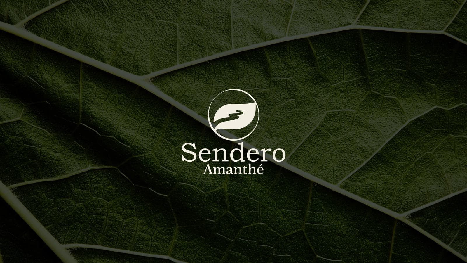 Land for Sale in Hunucma, Yucatán