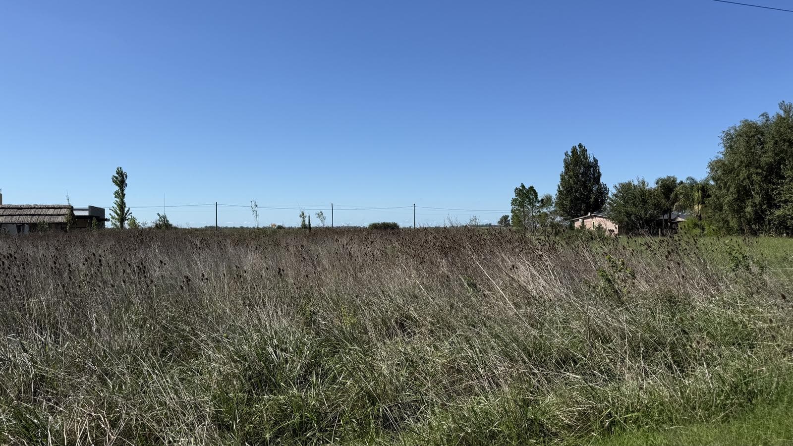 Exclusive Land for Sale in Laguna de Lobos