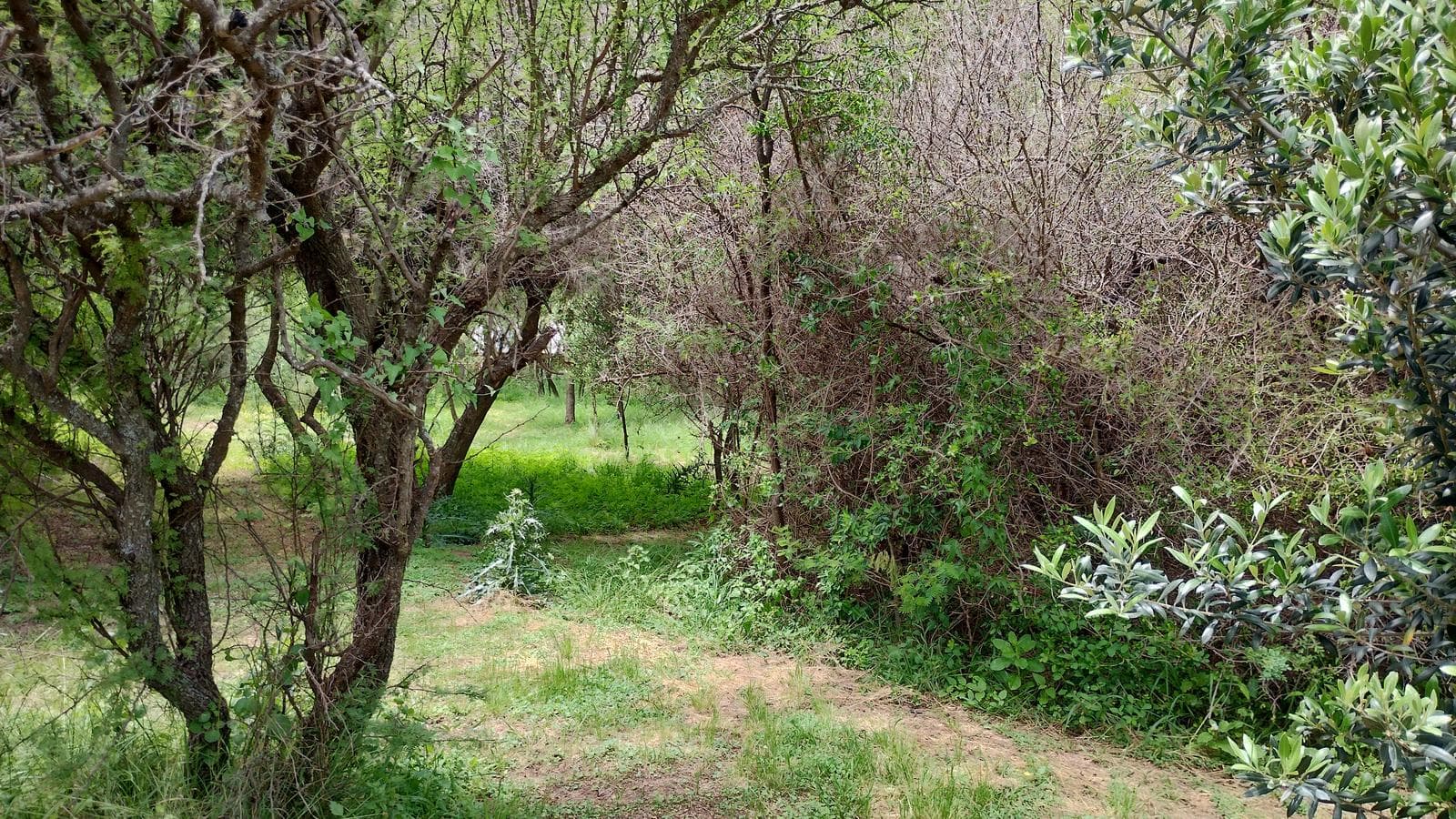 2 Detached Adobe Houses | Villa de Las Rosas | Traslasierra