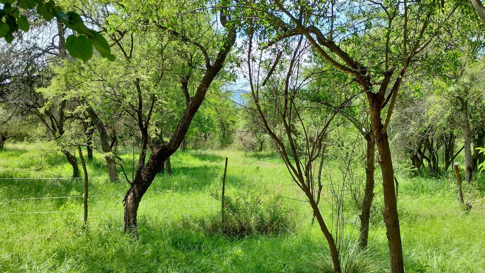 2 Detached Adobe Houses | Villa de Las Rosas | Traslasierra