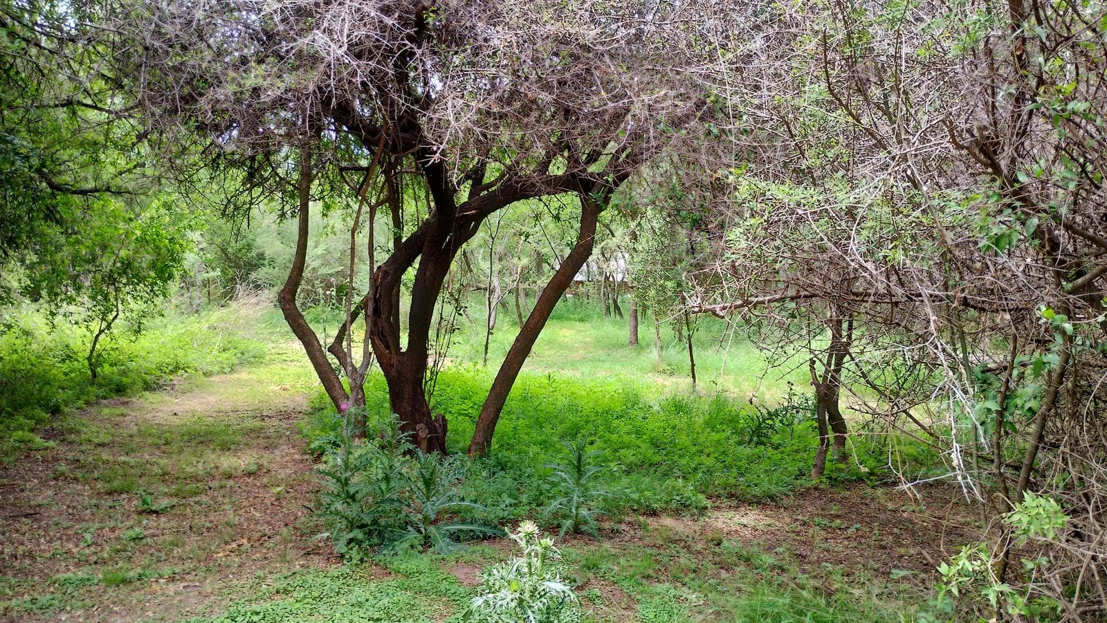 2 Detached Adobe Houses | Villa de Las Rosas | Traslasierra