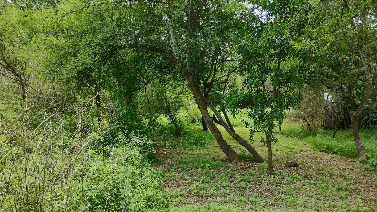 2 Detached Adobe Houses | Villa de Las Rosas | Traslasierra