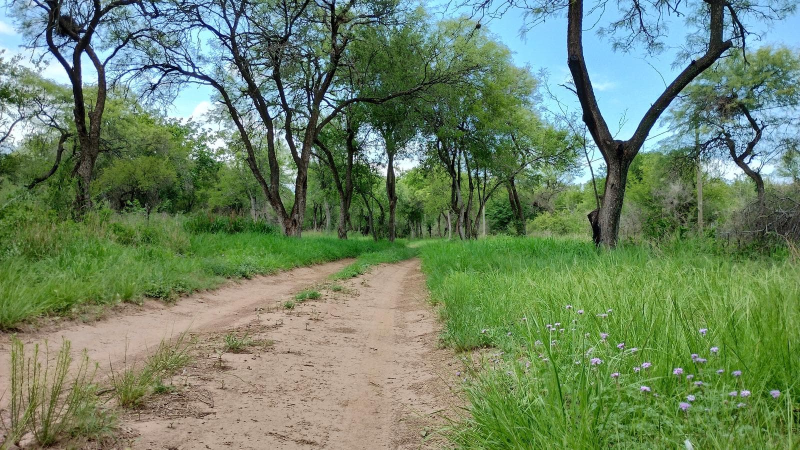2 Detached Adobe Houses | Villa de Las Rosas | Traslasierra