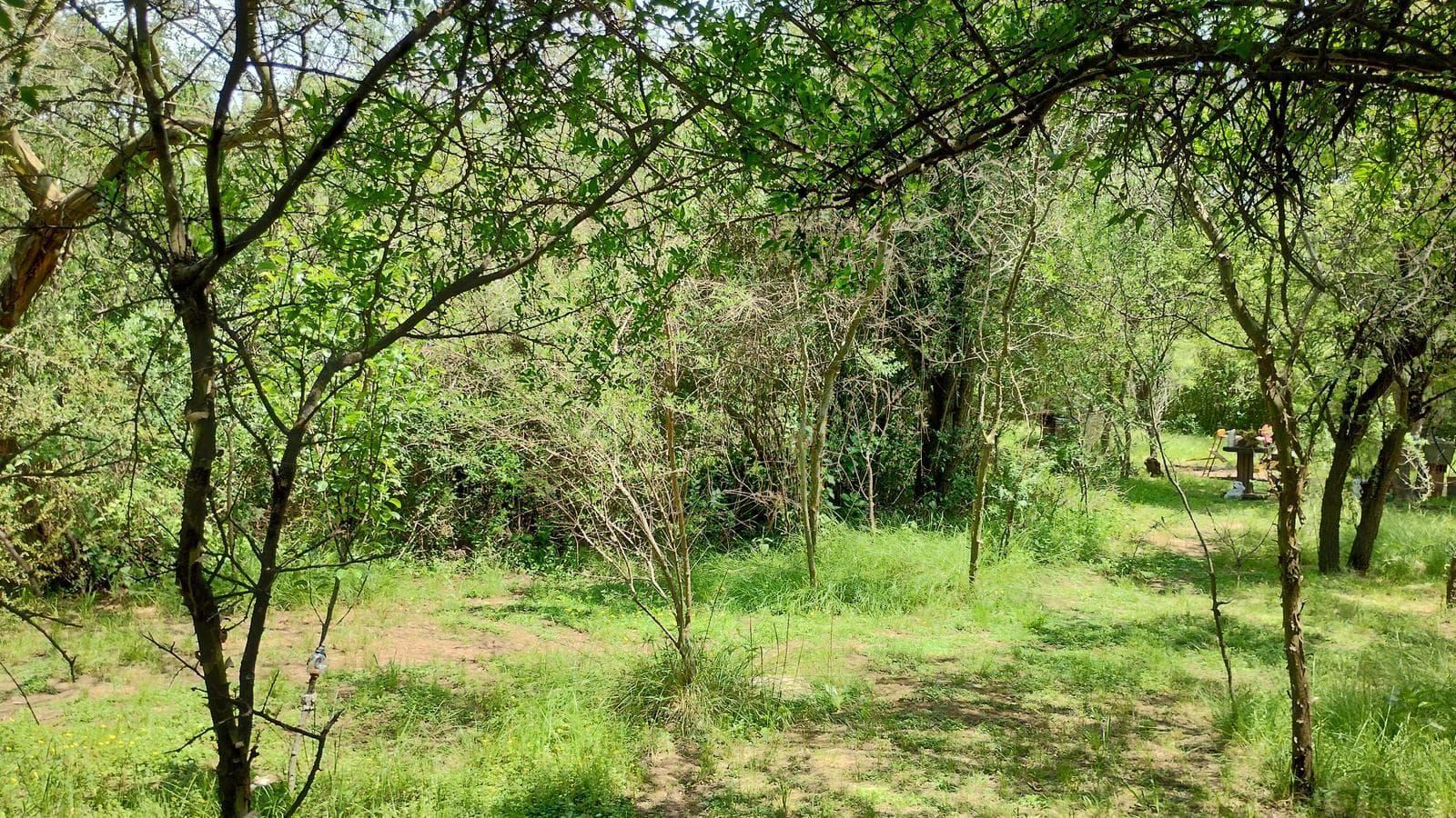 2 Detached Adobe Houses | Villa de Las Rosas | Traslasierra
