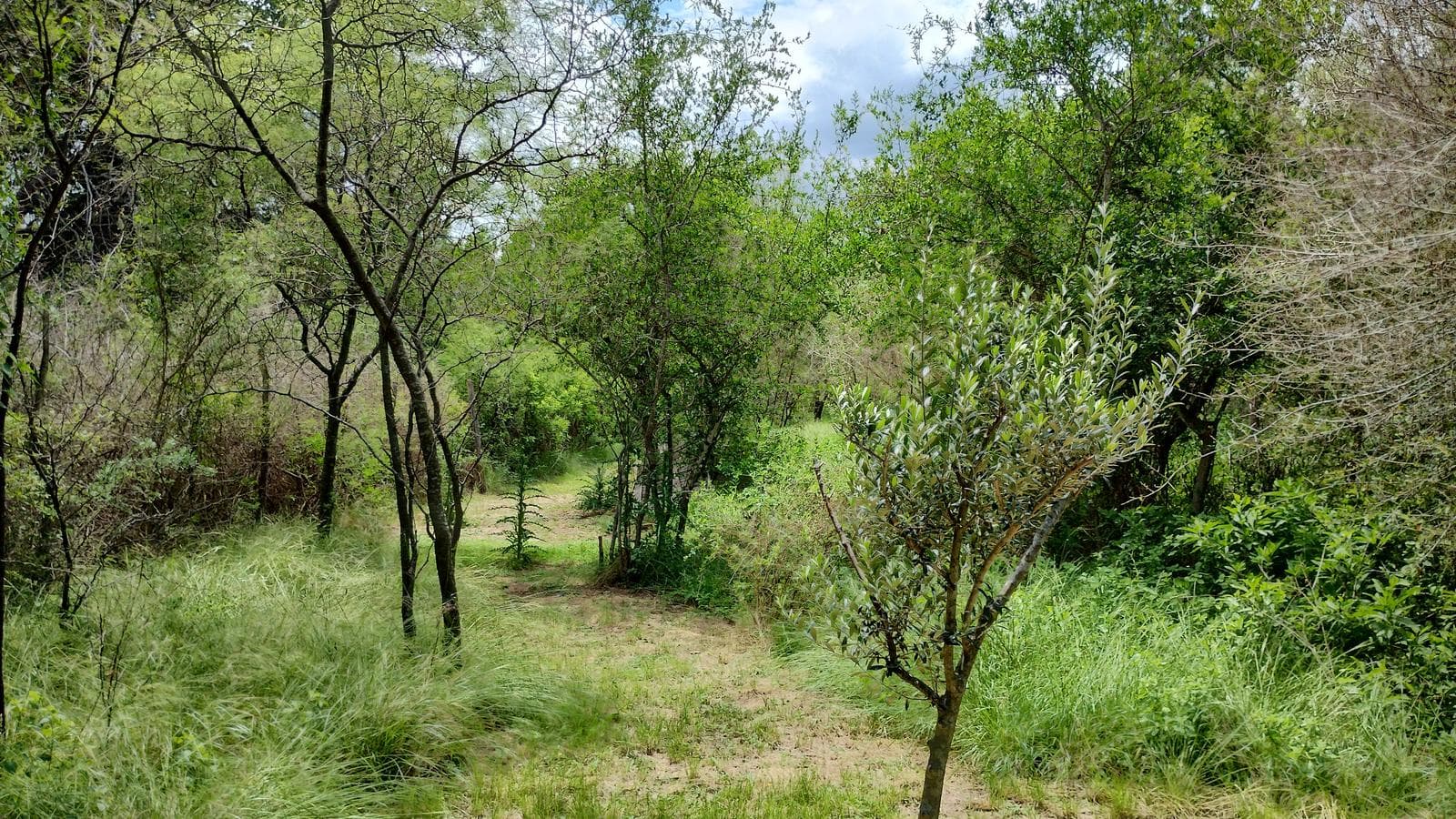 2 Detached Adobe Houses | Villa de Las Rosas | Traslasierra