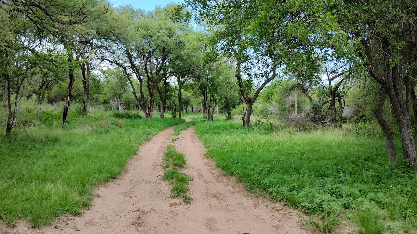 2 Detached Adobe Houses | Villa de Las Rosas | Traslasierra