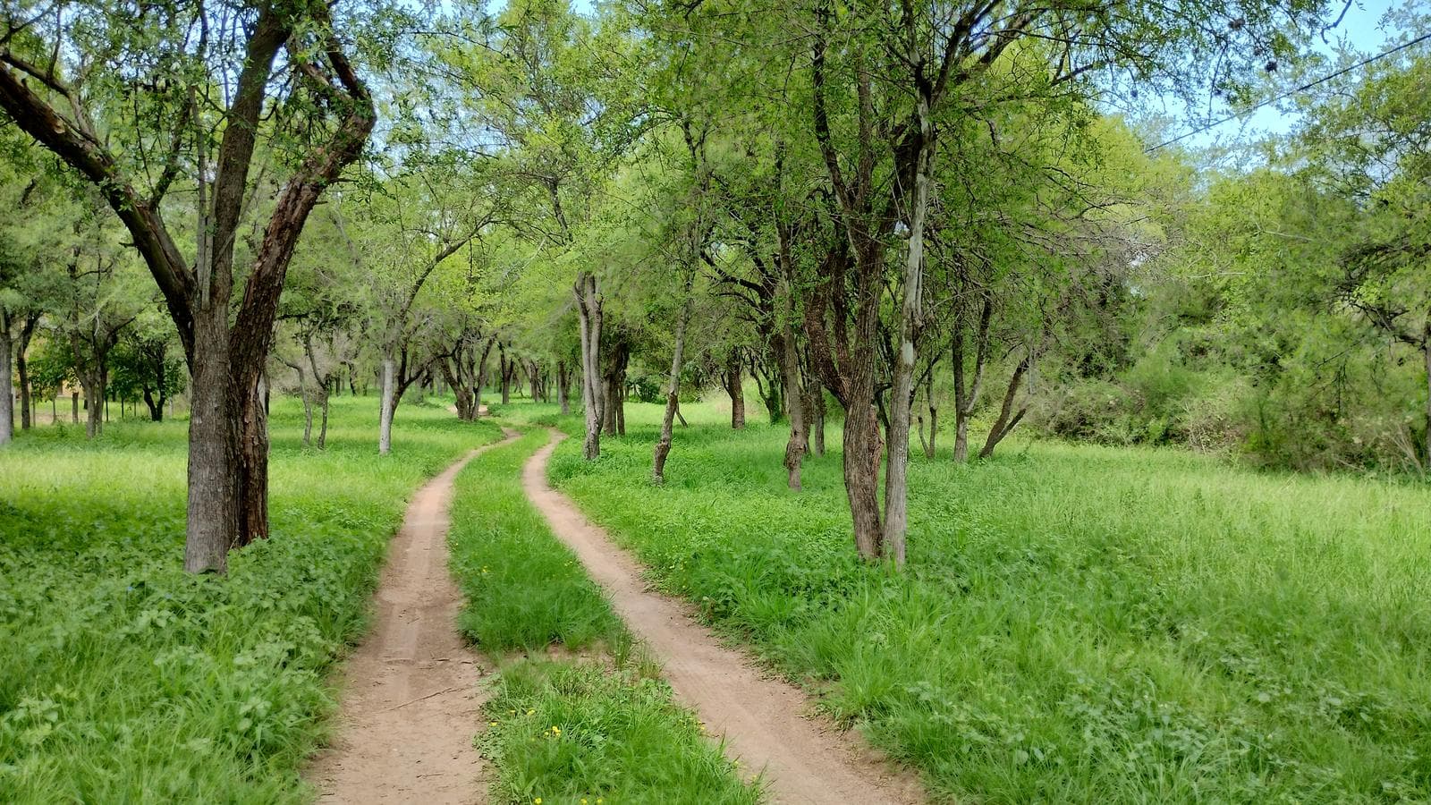 2 Detached Adobe Houses | Villa de Las Rosas | Traslasierra
