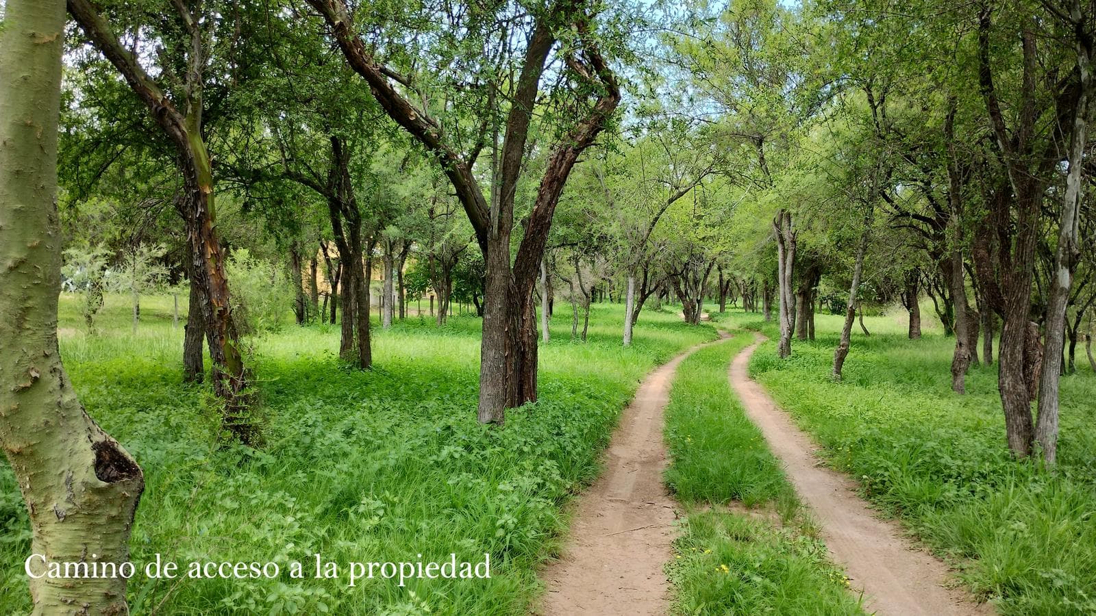 2 Detached Adobe Houses | Villa de Las Rosas | Traslasierra