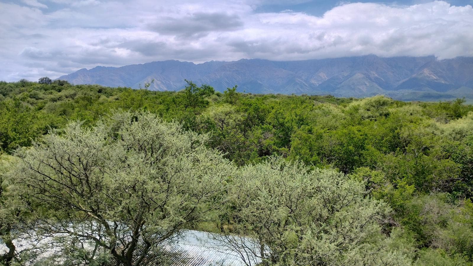 2 Detached Adobe Houses | Villa de Las Rosas | Traslasierra