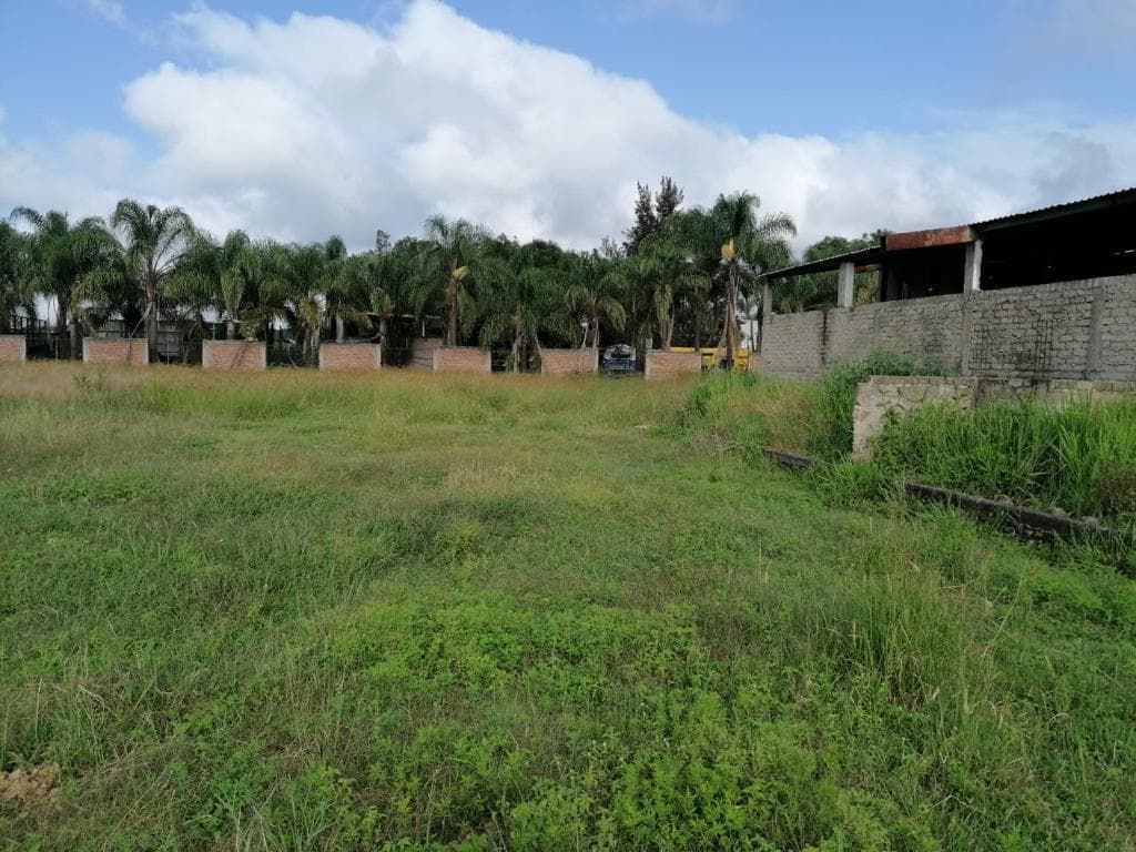 Lot on Mexico Highway 80