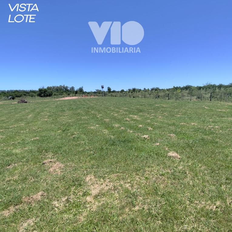 Half a hectare in Colón