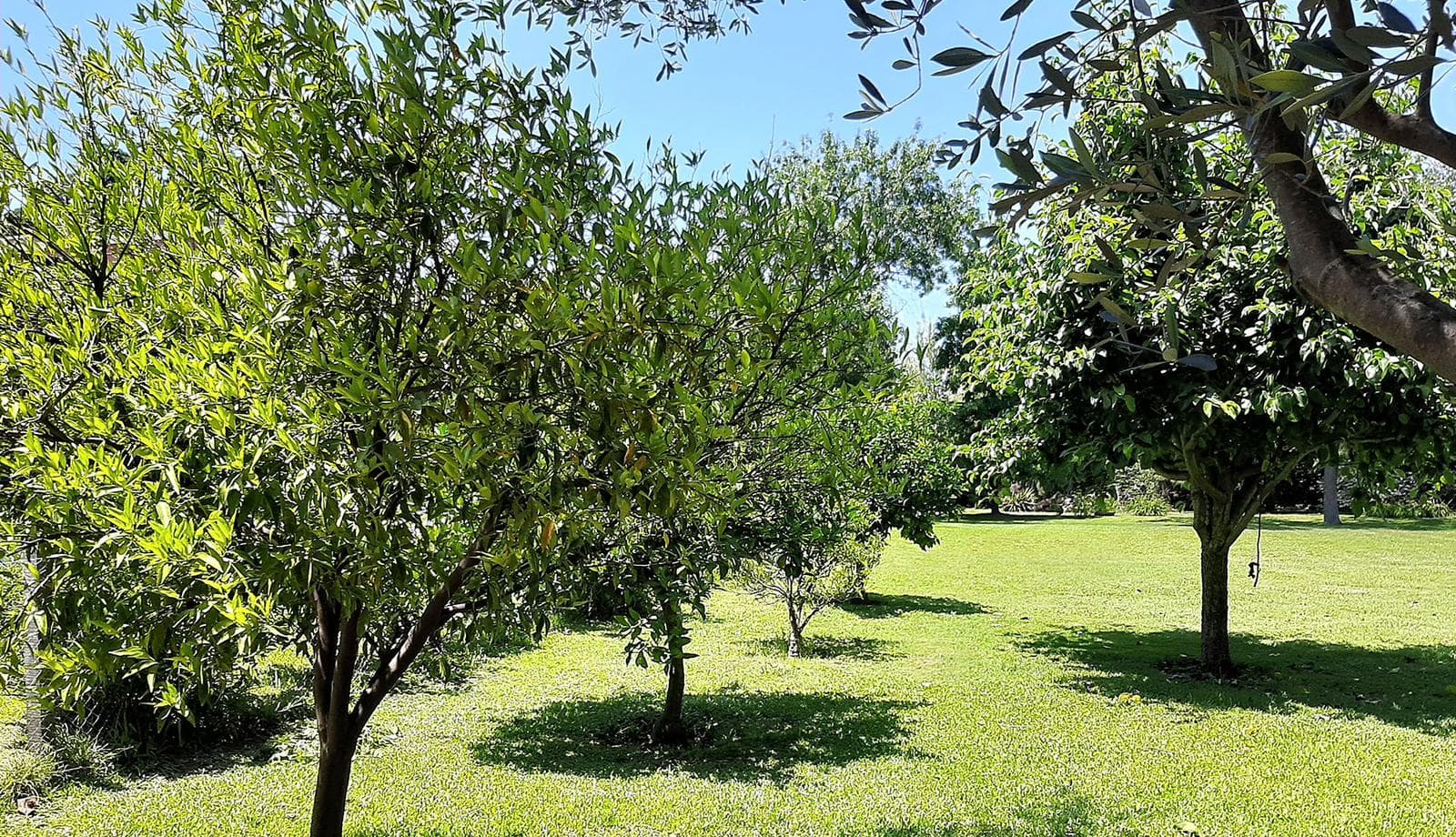 Land for Sale in Manzanares, Pilar Club de Campo San Francisco